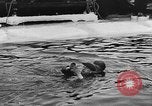 Image Festival norvégien y compris des farces espiègle Norvège, 1941, de la seconde 32 séquences d'archives historiques vidéo 65675065468