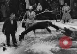 Image Festival norvégien y compris des farces espiègle Norvège, 1941, de la seconde 40 séquences d'archives historiques vidéo 65675065468