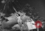 Image Les modèles posent pour les artistes sur une plage de Floride Florida USA, 1941, de la seconde 33 séquences d'archives historiques vidéo 65675065469