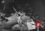 Image Les modèles posent pour les artistes sur une plage de Floride Florida USA, 1941, de la seconde 34 séquences d'archives historiques vidéo 65675065469