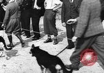 Standbild dog show Norwegen, 1941, aus Sekunde 3 historischem Filmmaterial Videoclip 65675065470
