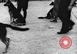 Standbild dog show Norwegen, 1941, aus Sekunde 6 historischem Filmmaterial Videoclip 65675065470