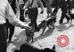 Standbild dog show Norwegen, 1941, aus Sekunde 9 historischem Filmmaterial Videoclip 65675065470