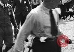 Standbild dog show Norwegen, 1941, aus Sekunde 12 historischem Filmmaterial Videoclip 65675065470