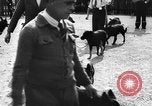 Standbild dog show Norwegen, 1941, aus Sekunde 13 historischem Filmmaterial Videoclip 65675065470