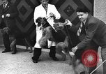 Standbild dog show Norwegen, 1941, aus Sekunde 30 historischem Filmmaterial Videoclip 65675065470