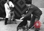 Standbild dog show Norwegen, 1941, aus Sekunde 31 historischem Filmmaterial Videoclip 65675065470