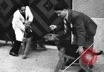 Standbild dog show Norwegen, 1941, aus Sekunde 32 historischem Filmmaterial Videoclip 65675065470