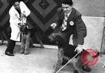 Standbild dog show Norwegen, 1941, aus Sekunde 33 historischem Filmmaterial Videoclip 65675065470