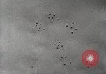 Immagine di Il D-day durante lo sbarco in Normandia della seconda guerra mondiale Normandia Francia, 1944, secondo 10 filmato di repertorio 65675065481