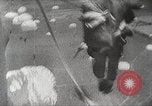 Immagine di Il D-day durante lo sbarco in Normandia della seconda guerra mondiale Normandia Francia, 1944, secondo 38 filmato di repertorio 65675065481