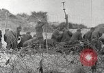 Immagine di Scene di Omaha Beach dopo essendo fissato nella seconda guerra mondiale Normandia Francia, 1944, secondo 11 filmato di repertorio 65675065483