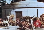 Image of Arlington National Cemetery Arlington Virginia USA, 1944, second 57 stock footage video 65675065492