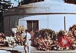 Image of Arlington National Cemetery Arlington Virginia USA, 1944, second 59 stock footage video 65675065492