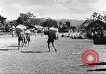 Immagine di Truppe indiane Assam India, 1944, secondo 35 filmato di repertorio 65675065495
