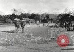 Immagine di Truppe indiane Assam India, 1944, secondo 39 filmato di repertorio 65675065495