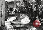 Immagine di Truppe indiane Assam India, 1944, secondo 28 filmato di repertorio 65675065496