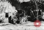 Immagine di Truppe indiane Assam India, 1944, secondo 29 filmato di repertorio 65675065496