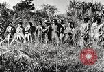 Immagine di Truppe indiane Assam India, 1944, secondo 41 filmato di repertorio 65675065496