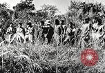 Immagine di Truppe indiane Assam India, 1944, secondo 46 filmato di repertorio 65675065496