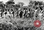 Immagine di Truppe indiane Assam India, 1944, secondo 47 filmato di repertorio 65675065496