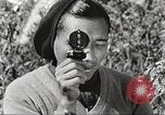 Immagine di Truppe indiane Assam India, 1944, secondo 52 filmato di repertorio 65675065496