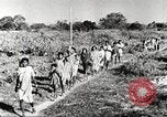 Immagine di Truppe indiane Assam India, 1944, secondo 15 filmato di repertorio 65675065497