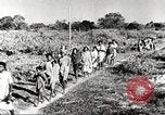 Immagine di Truppe indiane Assam India, 1944, secondo 16 filmato di repertorio 65675065497