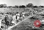 Immagine di Truppe indiane Assam India, 1944, secondo 21 filmato di repertorio 65675065497