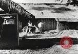Immagine di Truppe indiane Assam India, 1944, secondo 50 filmato di repertorio 65675065497