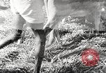 Immagine di Truppe indiane Assam India, 1944, secondo 55 filmato di repertorio 65675065497