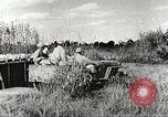 Immagine di Truppe indiane Assam India, 1944, secondo 8 filmato di repertorio 65675065498