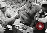 Immagine di Truppe indiane Assam India, 1944, secondo 26 filmato di repertorio 65675065498