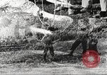 Immagine di Truppe indiane Assam India, 1944, secondo 39 filmato di repertorio 65675065498