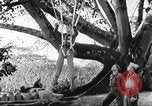 Immagine di Truppe indiane Assam India, 1944, secondo 46 filmato di repertorio 65675065498