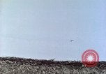 Immagine di Ufficio dei Servizi strategici La Birmania, 1944, secondo 26 filmato di repertorio 65675065499