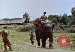 Immagine di Ufficio dei Servizi strategici La Birmania, 1944, secondo 27 filmato di repertorio 65675065499
