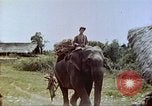 Immagine di Ufficio dei Servizi strategici La Birmania, 1944, secondo 28 filmato di repertorio 65675065499