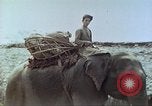 Immagine di Ufficio dei Servizi strategici La Birmania, 1944, secondo 32 filmato di repertorio 65675065499
