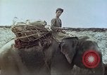 Immagine di Ufficio dei Servizi strategici La Birmania, 1944, secondo 33 filmato di repertorio 65675065499