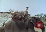 Immagine di Ufficio dei Servizi strategici La Birmania, 1944, secondo 35 filmato di repertorio 65675065499