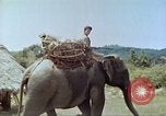 Immagine di Ufficio dei Servizi strategici La Birmania, 1944, secondo 37 filmato di repertorio 65675065499