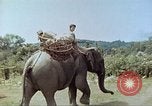 Immagine di Ufficio dei Servizi strategici La Birmania, 1944, secondo 38 filmato di repertorio 65675065499