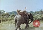 Immagine di Ufficio dei Servizi strategici La Birmania, 1944, secondo 39 filmato di repertorio 65675065499