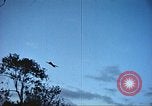 Image of Office of Strategic Services Burma, 1944, second 25 stock footage video 65675065502