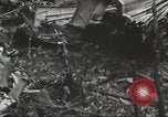 Image of burial of American fliers Burma, 1944, second 18 stock footage video 65675065506