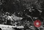 Image of burial of American fliers Burma, 1944, second 32 stock footage video 65675065506