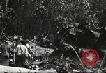 Image of burial of American fliers Burma, 1944, second 33 stock footage video 65675065506