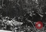 Image of burial of American fliers Burma, 1944, second 34 stock footage video 65675065506