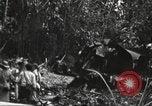 Image of burial of American fliers Burma, 1944, second 35 stock footage video 65675065506